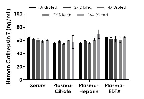Sandwich ELISA - Human Cathepsin Z ELISA Kit (AB287165), expandable thumbnail