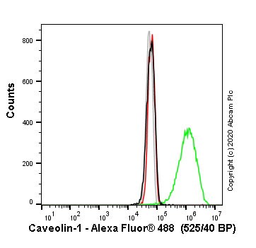Flow Cytometry - Human CAV1 (Caveolin-1) knockout HeLa cell line (AB255371), expandable thumbnail