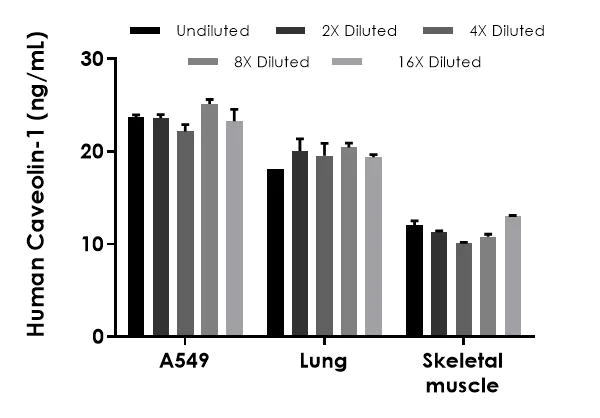 Sandwich ELISA - Human Caveolin-1 ELISA Kit (AB318937)