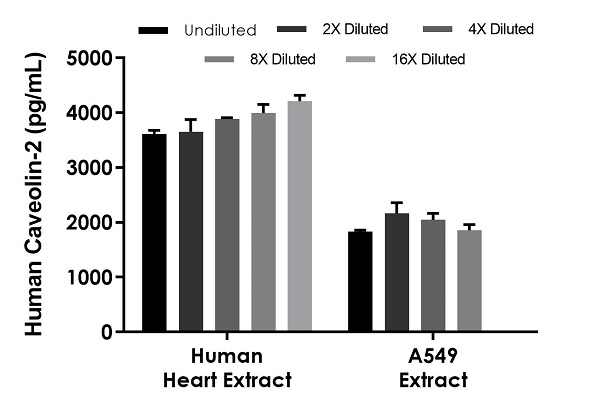 Sandwich ELISA - Human Caveolin-2 ELISA Kit (CAV2) (AB270881)