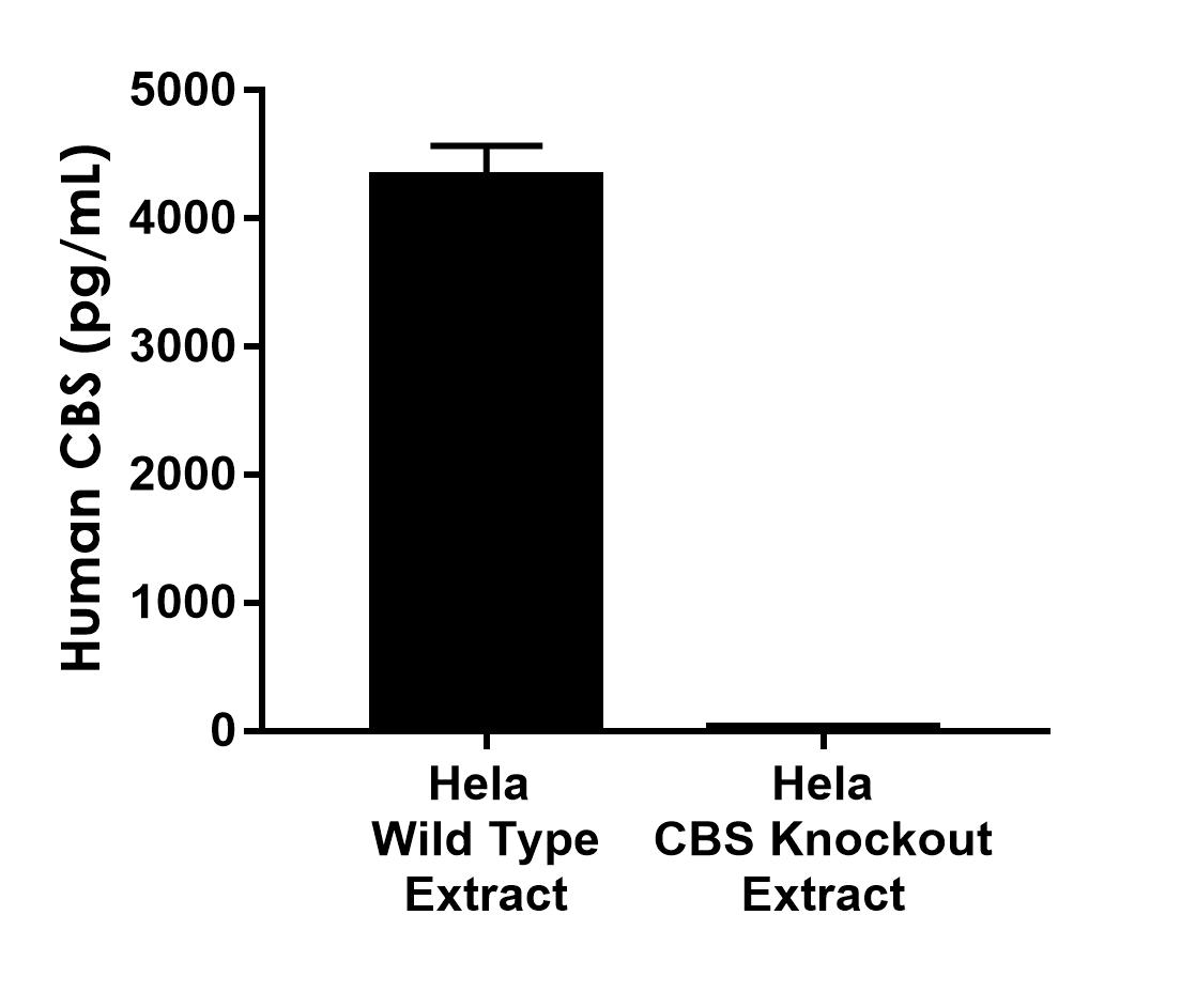 Sandwich ELISA - Human CBS knockout HeLa cell line (AB264950), expandable thumbnail
