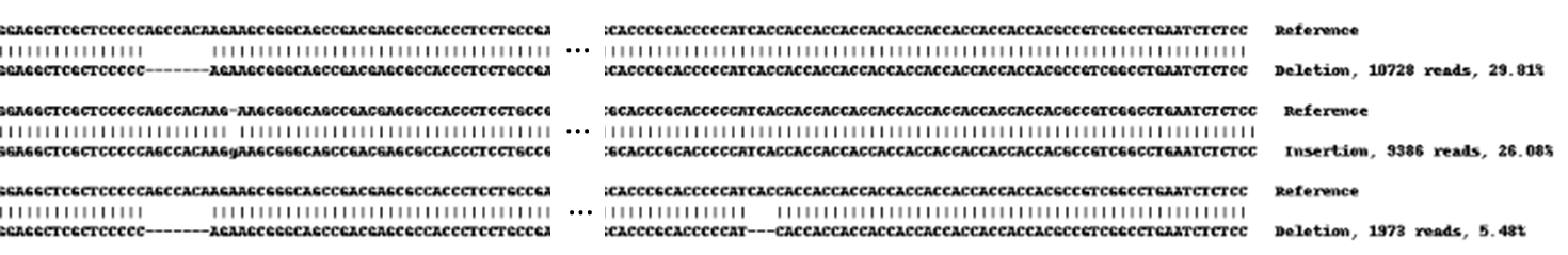 Next Generation Sequencing - Human CBX4 knockout HEK-293 cell line (AB261723), expandable thumbnail