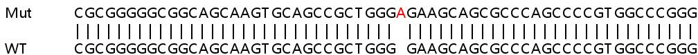 Sanger Sequencing - Human CCDC137 (CC137) knockout HeLa cell line (AB265439)