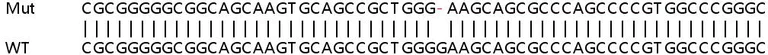 Sanger Sequencing - Human CCDC137 (CC137) knockout HeLa cell lysate (AB263137)
