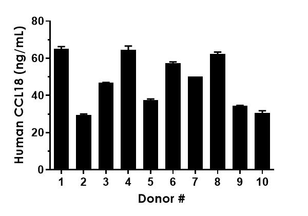 Sandwich ELISA - Human CCL18 ELISA Kit (ab211649), expandable thumbnail