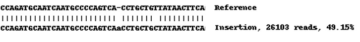 Human CCL2 (MCP1) knockout A549 cell line