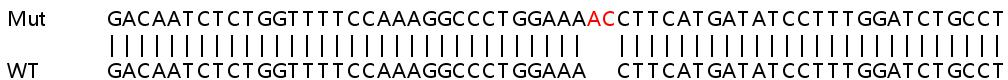 Sanger Sequencing - Human CCNI (Cyclin) knockout HEK-293T cell lysate (AB258344), expandable thumbnail