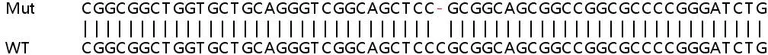 Sanger Sequencing - Human CCNL2 knockout HEK-293T cell line (AB266455)
