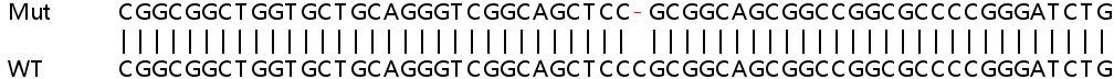 Sanger Sequencing - Human CCNL2 knockout HEK-293T cell lysate (AB263139)