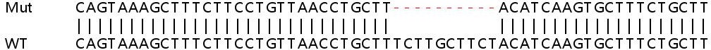 Sanger Sequencing - Human CCP110 (CP110) knockout HEK-293T cell line (AB266629)