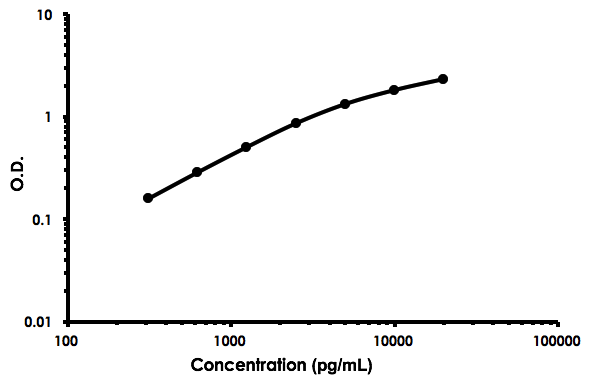 Sandwich ELISA - Human CD127 ELISA Kit (AB213799)