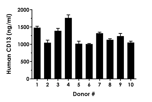Sandwich ELISA - Human CD13 ELISA Kit (AB239427)
