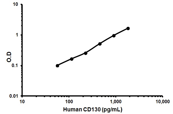 Sandwich ELISA - Human CD130 ELISA Kit (GP130) (AB46135), expandable thumbnail