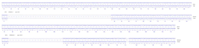 Next Generation Sequencing - Human CD14 knockout A549 cell line (AB287269)
