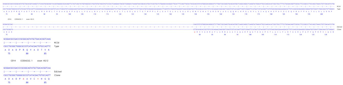 Next Generation Sequencing - Human CD14 knockout HCT116 cell line (AB287271)