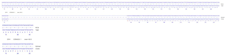 Next Generation Sequencing - Human CD14 knockout HCT116 cell line (AB287271)