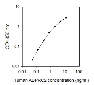 Sandwich ELISA - Human CD157 ELISA kit (AB267623)