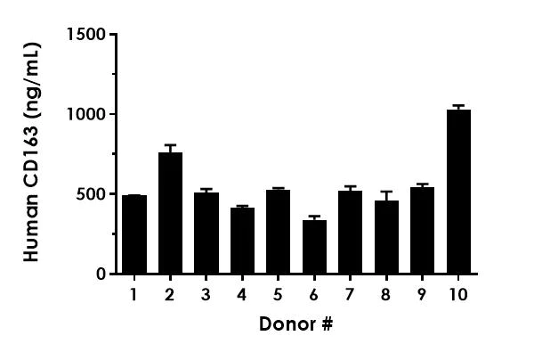 Sandwich ELISA - Human CD163 ELISA Kit (AB274394)