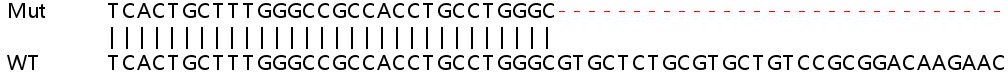 Sanger Sequencing - Human CD164 knockout HEK-293T cell line (AB266616)
