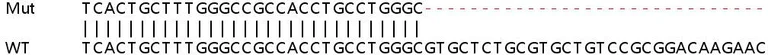 Sanger Sequencing - Human CD164 knockout HEK-293T cell line (AB266616)