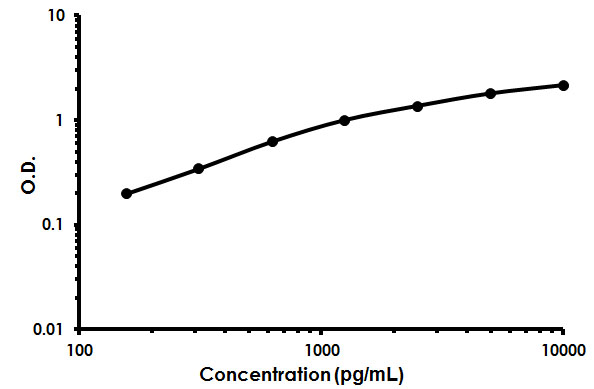 Sandwich ELISA - Human CD169 ELISA Kit (SIGLEC-1) (AB213757)