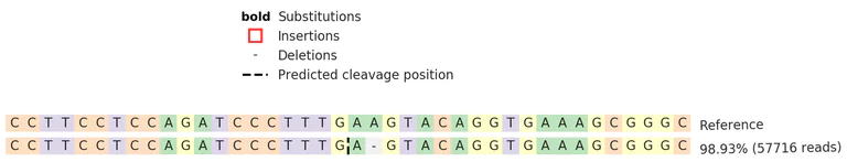 Next Generation Sequencing - Human CD1C knockout Jurkat cell line (AB273867)
