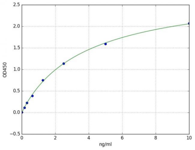 Sandwich ELISA - Human CD20 ELISA Kit (AB285273), expandable thumbnail