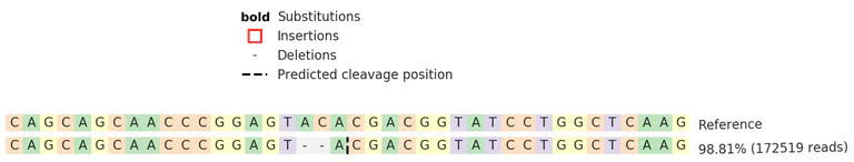 Next Generation Sequencing - Human CD22 knockout Raji cell line (AB277160)