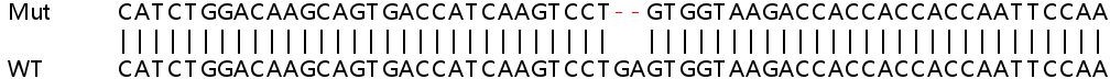 Sanger Sequencing - Human CD274 (PD-L1) knockout A549 cell line (ab267054), expandable thumbnail