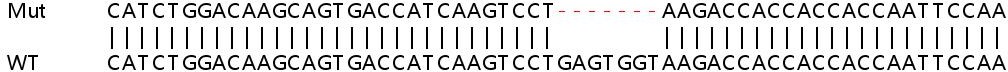 Sanger Sequencing - Human CD274 (PD-L1) knockout A549 cell line (ab267054), expandable thumbnail