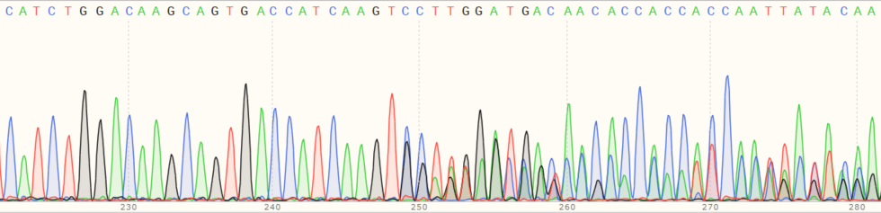 Sanger Sequencing - Human CD274 (PD-L1) knockout A549 cell line (ab267054), expandable thumbnail