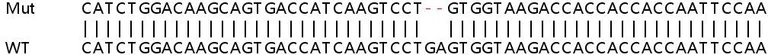 Sanger Sequencing - Human CD274 (PD-L1) knockout A549 cell lysate (AB256831)