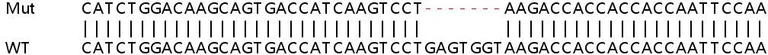 Sanger Sequencing - Human CD274 (PD-L1) knockout A549 cell lysate (AB256831)