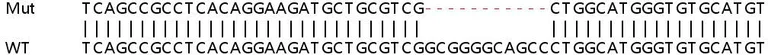 Sanger Sequencing - Human CD276 knockout HeLa cell line (AB261756)