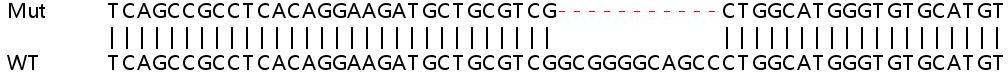 Sanger Sequencing - Human CD276 knockout HeLa cell lysate (AB257098), expandable thumbnail