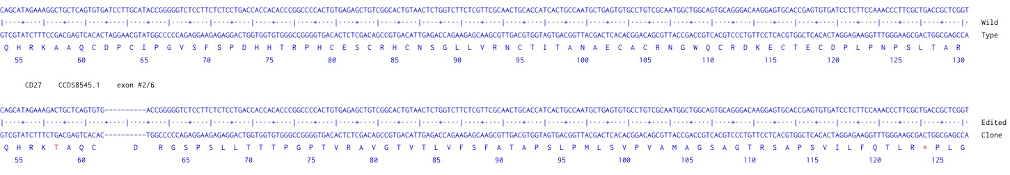 Next Generation Sequencing - Human CD27A knockout Raji cell line (AB274910), expandable thumbnail