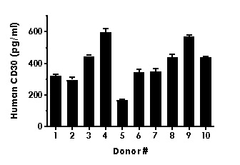 Sandwich ELISA - Human CD30 ELISA Kit (AB236711), expandable thumbnail