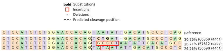 Next Generation Sequencing - Human CD3E knockout Jurkat cell line (AB277186)