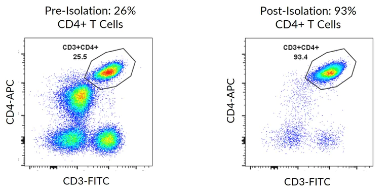 Flow Cytometry - Human CD4+ T Cell Isolation Kit (AB322033)