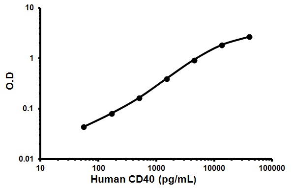 Sandwich ELISA - Human CD40 ELISA Kit (AB99990)