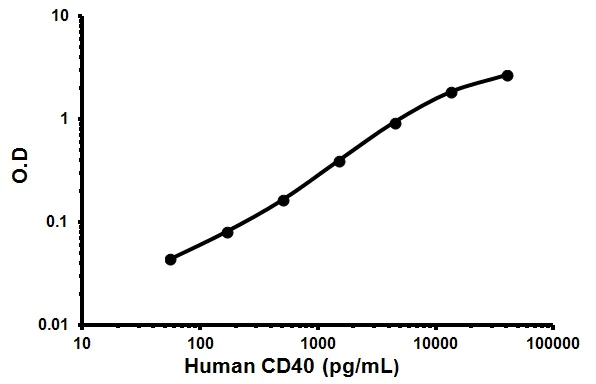Sandwich ELISA - Human CD40 ELISA Kit (AB99990)