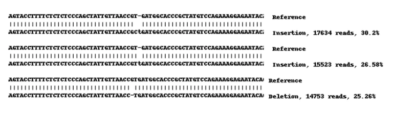 Next Generation Sequencing - Human CD44 knockout HeLa cell line (AB262515)