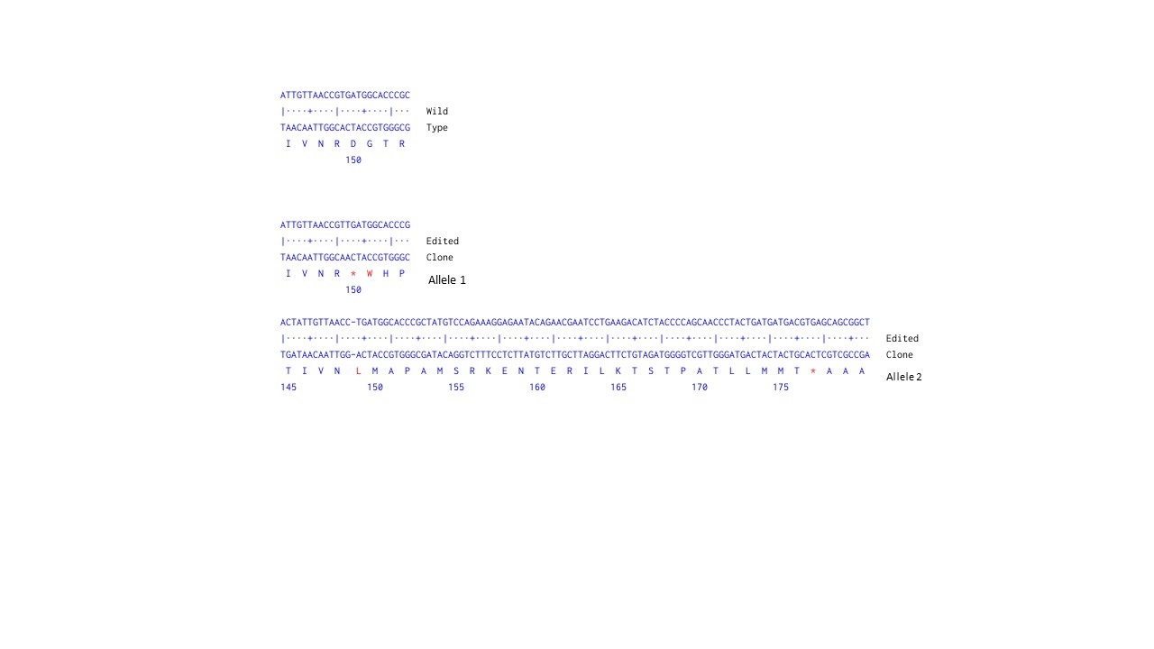 Next Generation Sequencing - Human CD44 knockout HeLa cell line (ab262515), expandable thumbnail