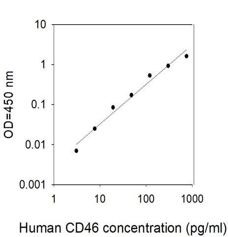 Sandwich ELISA - Human CD46 ELISA Kit (AB314831), expandable thumbnail