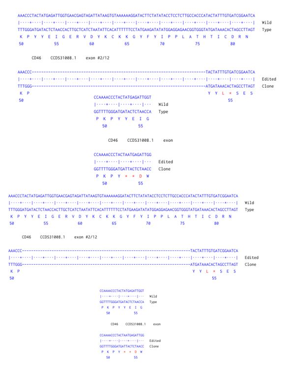 Next Generation Sequencing - Human CD46 knockout A549  cell line (AB300878), expandable thumbnail