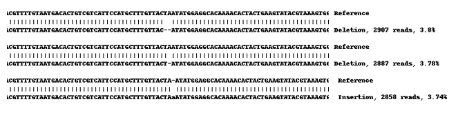 Human CD47 knockout MCF7 cell line