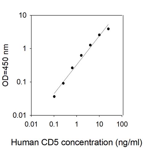 Sandwich ELISA - Human CD5 ELISA Kit (AB309429), expandable thumbnail
