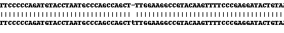 Human CD55 knockout MCF7 cell line