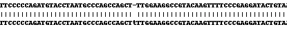 Next Generation Sequencing - Human CD55 knockout MCF7 cell line (AB269494)