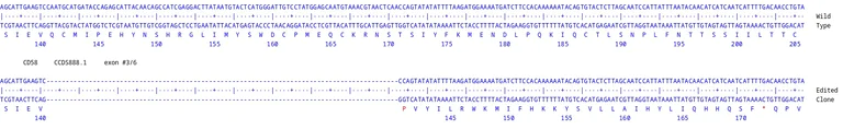 Next Generation Sequencing - Human CD58 knockout Raji cell line (AB290422)